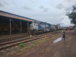 RUMO 9884